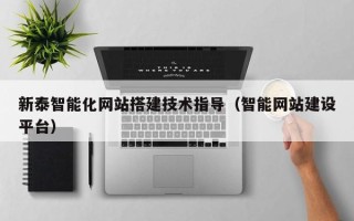 三亚新泰智能化网站搭建技术指导（智能网站建设平台）
