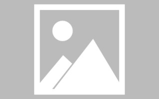 三亚搭建网站招聘信息（网站制作 招聘）